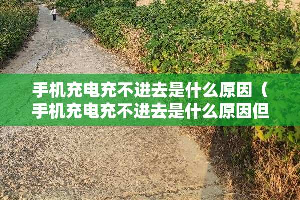 手机充电充不进去是什么原因（手机充电充不进去是什么原因但是USB插口可以）
