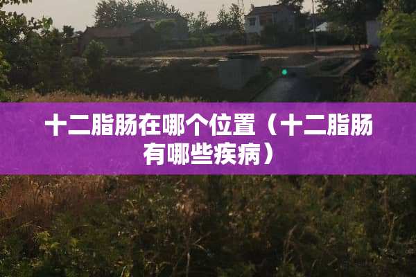 十二脂肠在哪个位置（十二脂肠有哪些疾病）