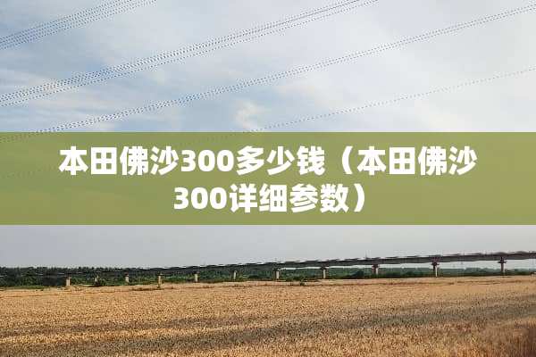 本田佛沙300多少钱（本田佛沙300详细参数）