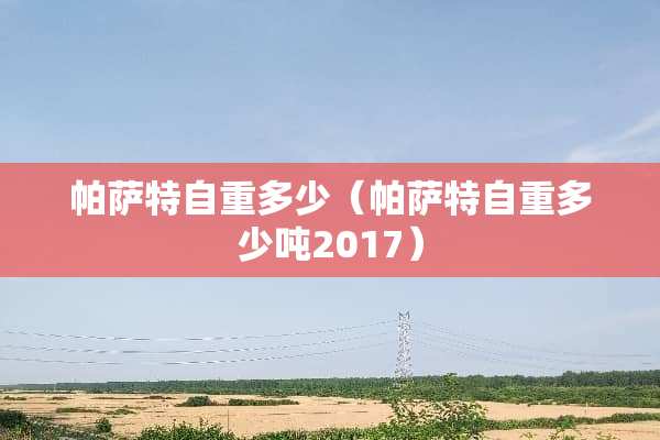 ***自重多少（***自重多少吨2017）
