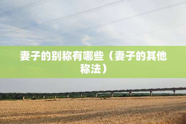 妻子的别称有哪些（妻子的其他称法）