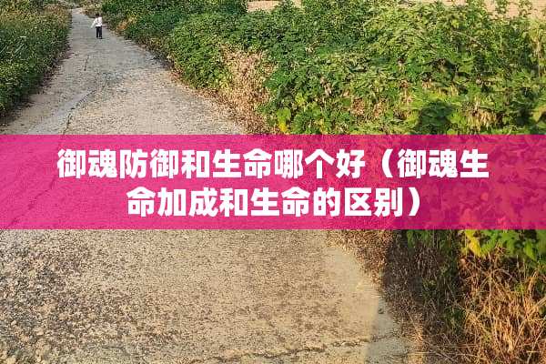 御魂防御和生命哪个好（御魂生命加成和生命的区别）