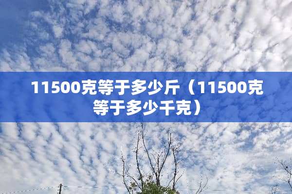 11500克等于多少斤（11500克等于多少千克）