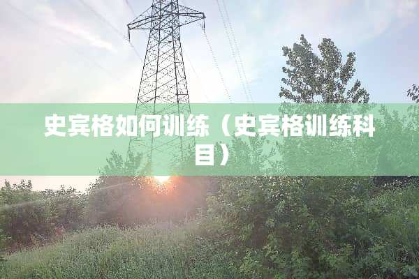 史宾格如何训练（史宾格训练科目）