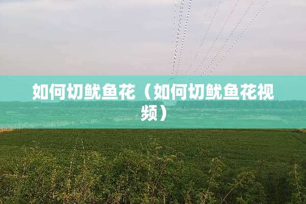 如何切鱿鱼花（如何切鱿鱼花视频）
