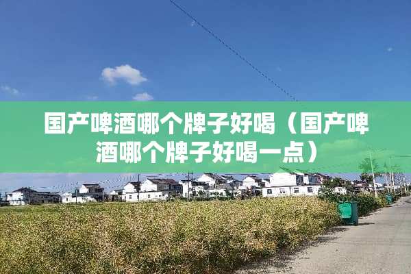 国产啤酒哪个牌子好喝（国产啤酒哪个牌子好喝一点）