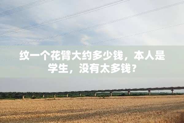 纹一个花臂大约多少钱，本人是学生，没有太多钱？