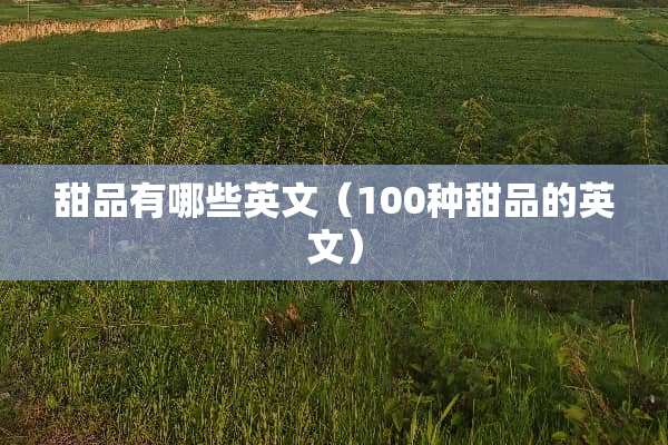 甜品有哪些英文（100种甜品的英文）