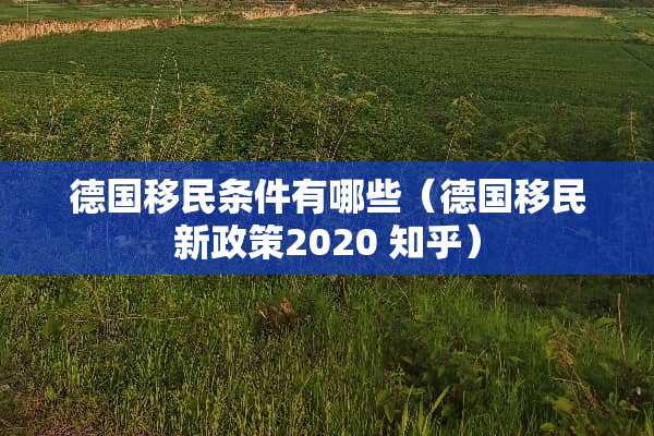 德国移民条件有哪些（德国移民新政策2020 知乎）
