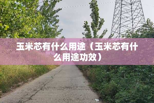 玉米芯有什么用途（玉米芯有什么用途功效）