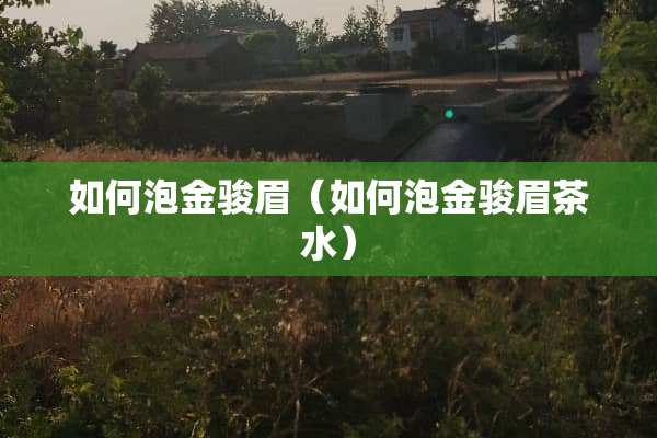 如何泡金骏眉（如何泡金骏眉茶水）