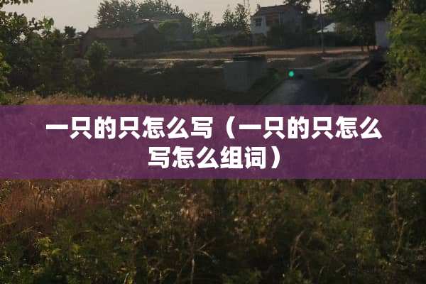 一只的只怎么写（一只的只怎么写怎么组词）