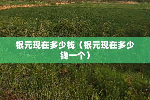 银元现在多少钱（银元现在多少钱一个）