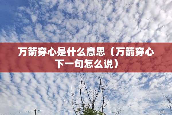 万箭穿心是什么意思（万箭穿心下一句怎么说）