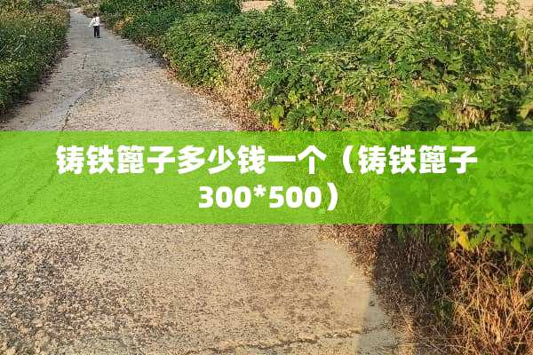 铸铁篦子多少钱一个（铸铁篦子300*500）