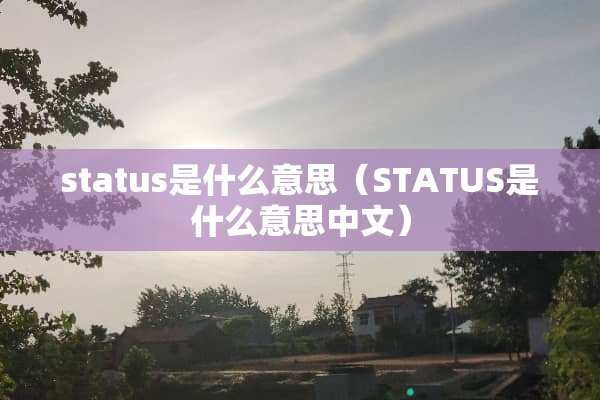 status是什么意思（STATUS是什么意思中文）