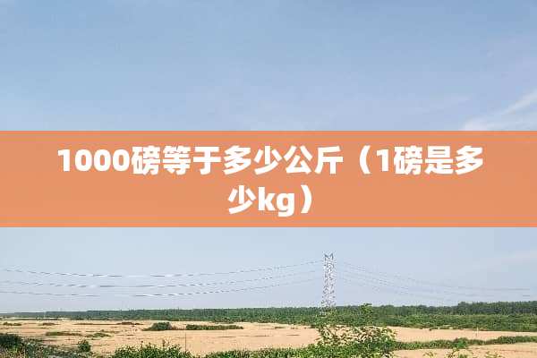 1000磅等于多少公斤（1磅是多少kg）