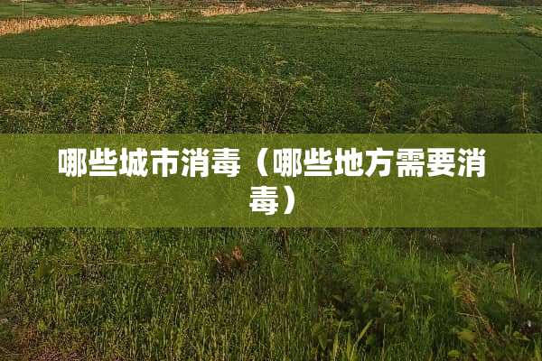 哪些城市消毒（哪些地方需要消毒）