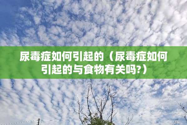 尿毒症如何引起的（尿毒症如何引起的与食物有关吗?）
