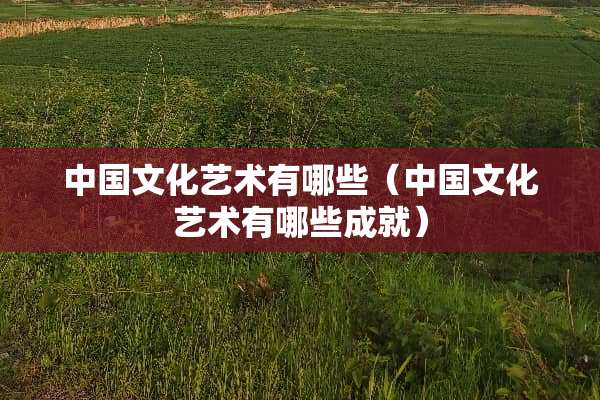 中国文化艺术有哪些（中国文化艺术有哪些成就）