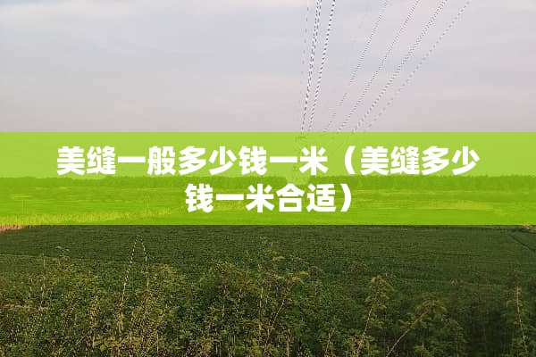 美缝一般多少钱一米（美缝多少钱一米合适）