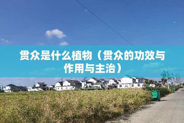 贯众是什么植物（贯众的功效与作用与主治）