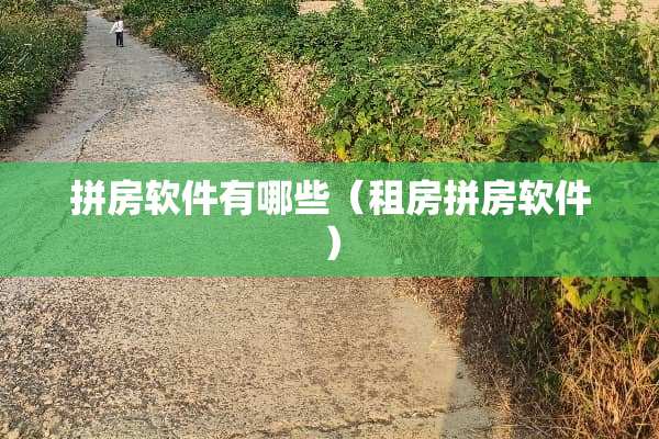 拼房软件有哪些（租房拼房软件）