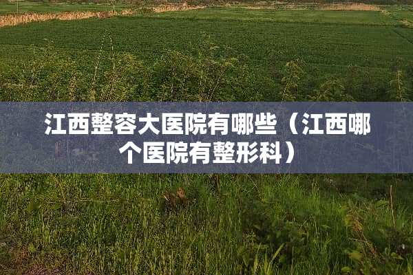 江西整容大医院有哪些（江西哪个医院有整形科）