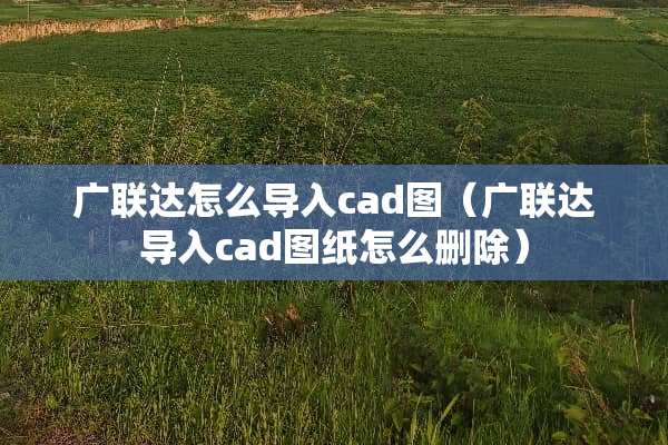 广联达怎么导入cad图（广联达导入cad图纸怎么删除）