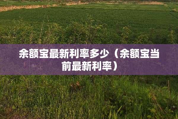 余额宝最新利率多少（余额宝当前最新利率）