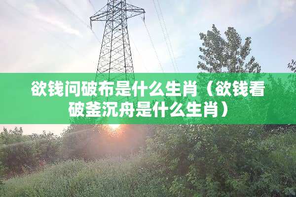 欲钱问破布是什么生肖（欲钱看破釜沉舟是什么生肖）