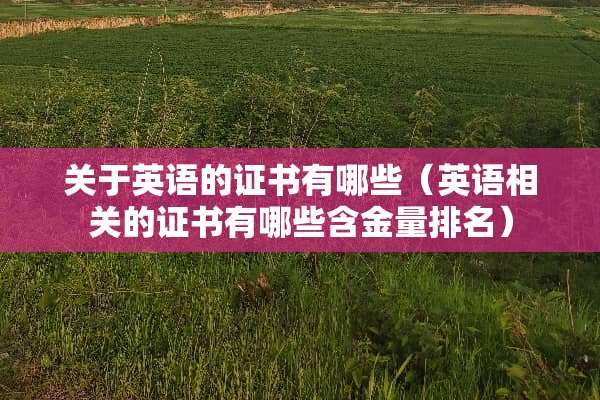 关于英语的证书有哪些（英语相关的证书有哪些含金量排名）