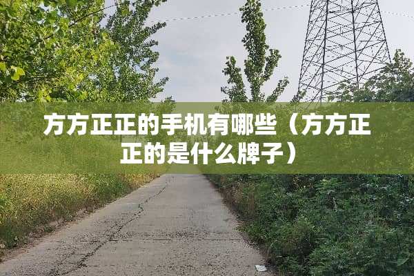 方方正正的手机有哪些（方方正正的是什么牌子）