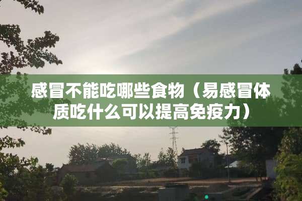 感冒不能吃哪些食物（易感冒体质吃什么可以提高免疫力）