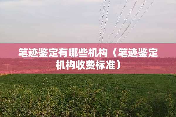 笔迹鉴定有哪些机构（笔迹鉴定机构收费标准）