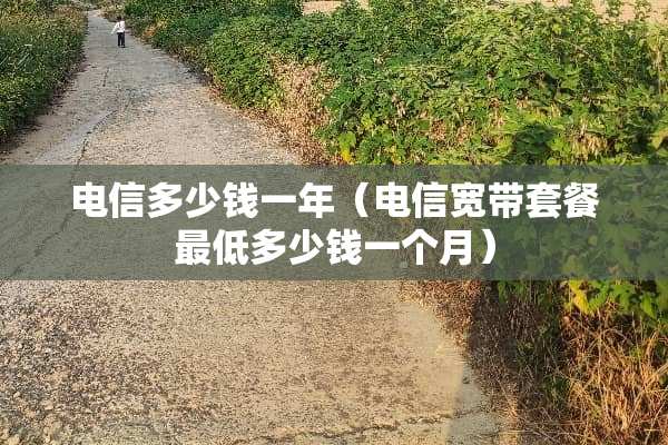 电信多少钱一年（电信宽带套餐最低多少钱一个月）