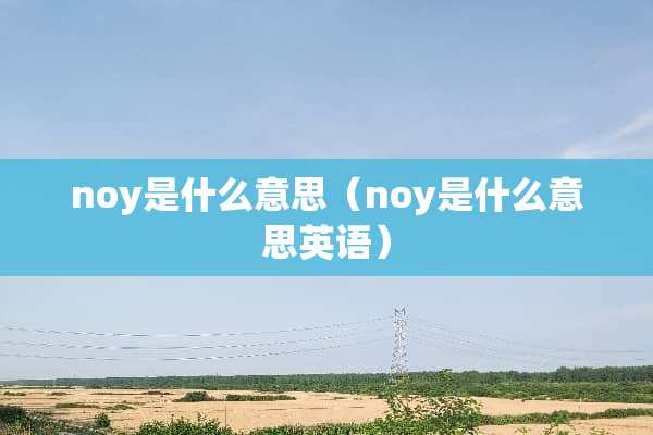 noy是什么意思（noy是什么意思英语）