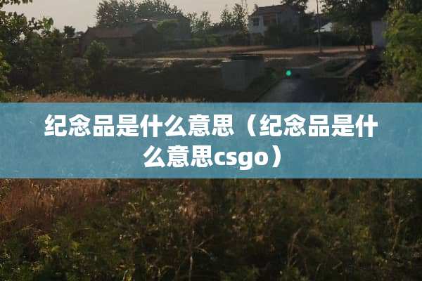 纪念品是什么意思（纪念品是什么意思csgo）