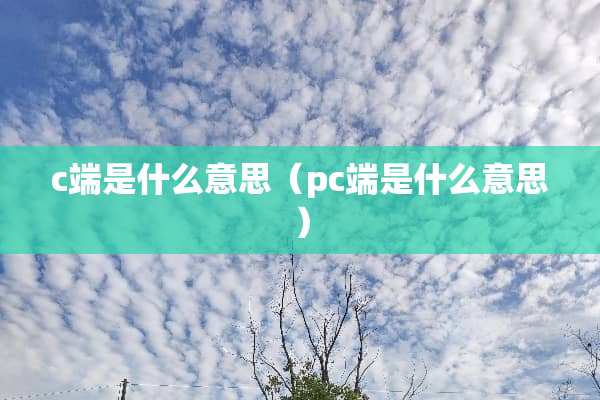 c端是什么意思（pc端是什么意思）