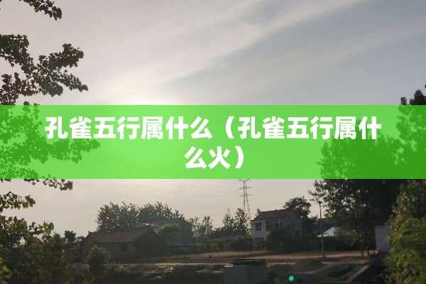 孔雀五行属什么（孔雀五行属什么火）