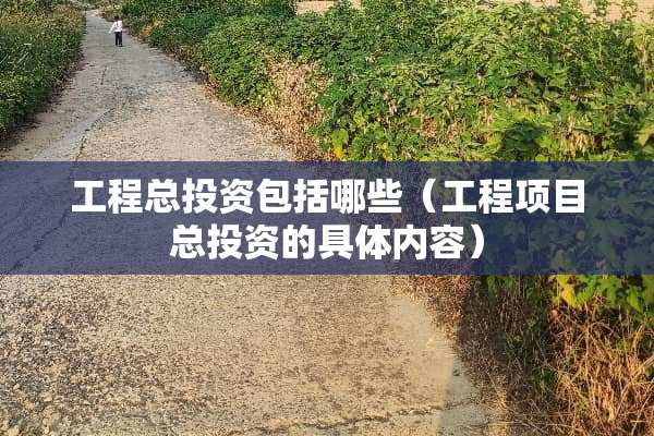 工程总投资包括哪些（工程项目总投资的具体内容）