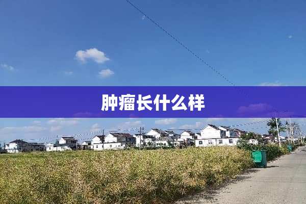 肿瘤长什么样