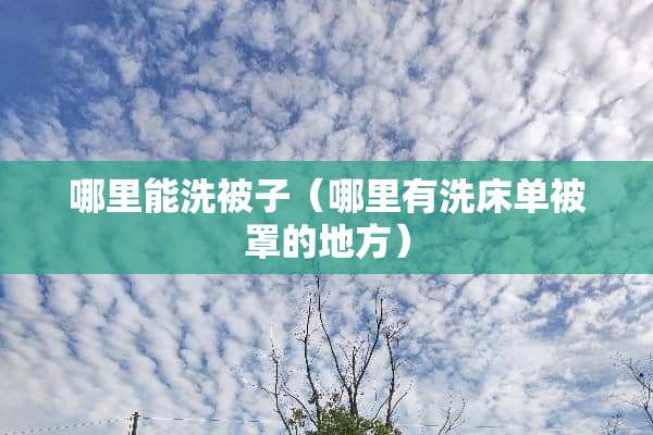哪里能洗被子（哪里有洗床单被罩的地方）