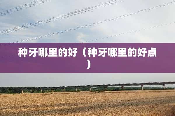 种牙哪里的好（种牙哪里的好点）
