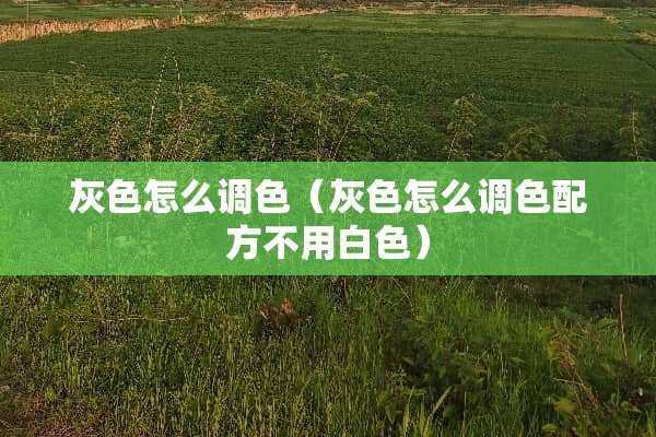 灰色怎么调色（灰色怎么调色配方不用白色）