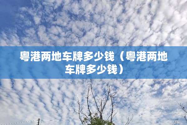 粤港两地车牌多少钱（粤港两地车牌多少钱）