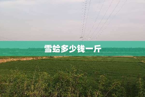 雪蛤多少钱一斤