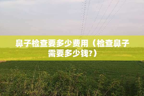 鼻子检查要多少费用（检查鼻子需要多少钱?）