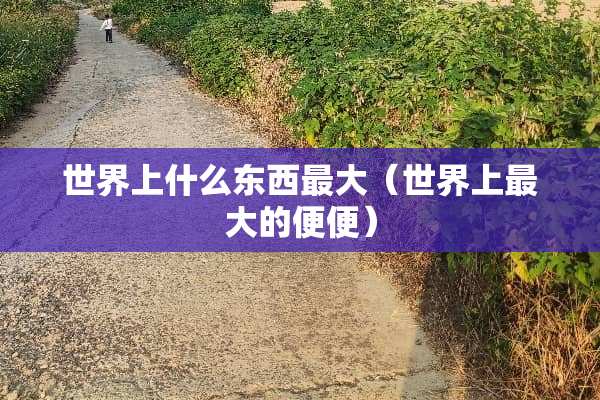 世界上什么东西最大（世界上最大的便便）