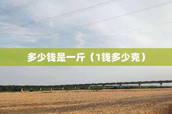 多少钱是一斤（1钱多少克）